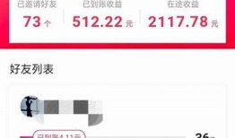抖音1.6 VIP版深度解析：功能亮点与使用攻略全揭晓