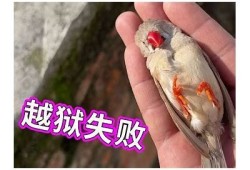 听说小视频阴可以引发奇妙变化，你也来试试吧！