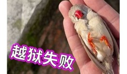 听说小视频阴可以引发奇妙变化，你也来试试吧！