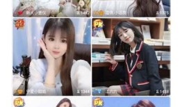 抖阴的详细解析：揭秘其含义与影响力