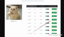 详细教程：如何快速下载抖阴APP并成功安装