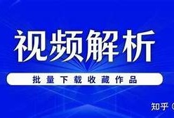 抖音短视频免费下载方法揭秘，轻松获取热门视频资源