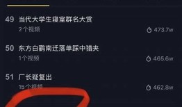 抖音检测线路，揭秘如何提升视频曝光率与流量获取技巧