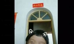 盗版抖阴用户人数揭秘：究竟有多少人在使用？