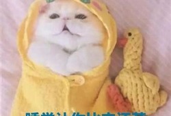 抖阴Life：探索最美丽的抖音女神，发现她们的魅力与风采