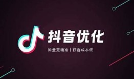 理解抖阴优化策略，助力内容在百度快速排名提升