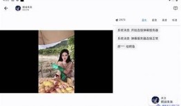 盒子Live抖阴：探索互动直播的新体验与魅力
