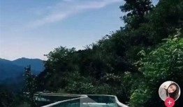 抖阴Livi：全新社交平台如何改变我们的交流方式？
