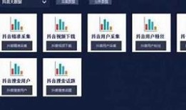 快手与抖音哪个更好看？深度研究两大平台的用户体验与内容魅力