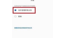 如何下载抖音短视频，简单步骤轻松获取喜欢内容