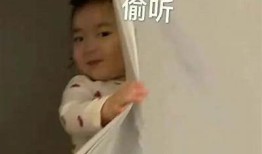 为您推荐的标题是：抖阴：探索最热门的社交娱乐平台，发现新世界！