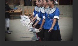 抖阴大花轿：探索传统文化与现代娱乐的完美融合