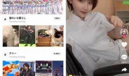 海外国际抖阴app下载及使用指南，轻松享受精彩内容
