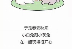 男人心酸背后的故事：抖音视频揭示生活的艰辛与梦想