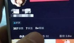 黑客成功破解抖音，揭示平台安全隐患与用户隐私风险
