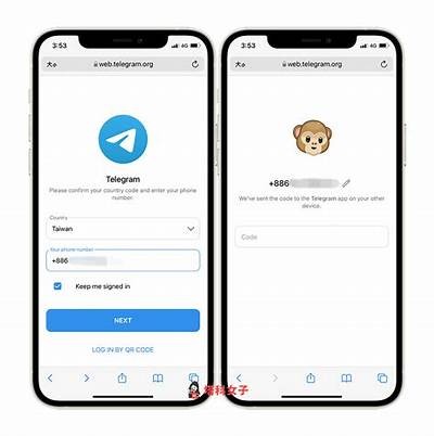 揭秘Telegram抖阴：如何安全使用与避坑技巧分享！