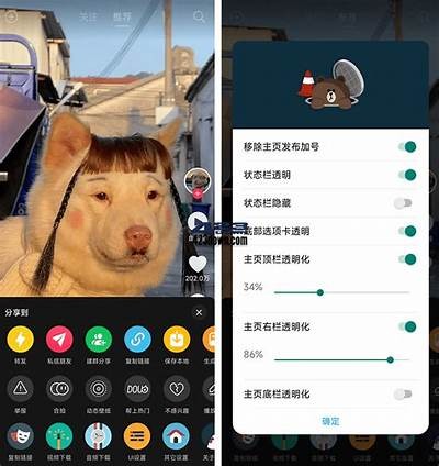 破解抖音运用下载官网，安全高效的短视频分享平台攻略