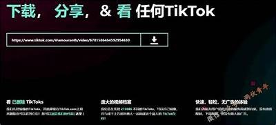 揭秘抖阴：被删视频背后的秘密与真相解析