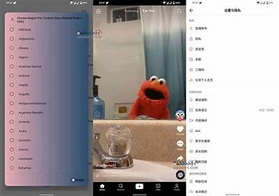 抖音国际版破解版下载：畅享无广告高品质视频体验