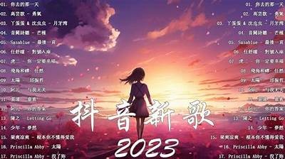 夕阴西下抖音热歌推荐：感受音乐与黄昏的浪漫时刻