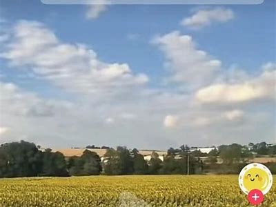 如何下载抖音视频录像？详细步骤与技巧分享！