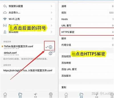 获取抖音国际VIP IOS版：畅享全球短视频精彩内容技巧解析