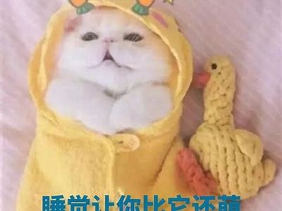 抖阴Life：探索最美丽的抖音女神，发现她们的魅力与风采