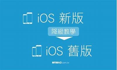 iOS用户如何删除抖阴旧版本并重新下载最新版本指南