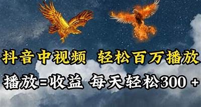 如何在抖音平台观看热门视频，轻松获取精彩内容指南
