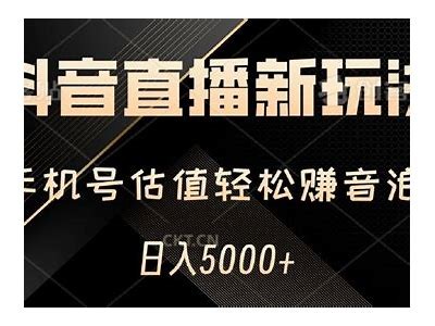 抖音直播钻石收费为何如此昂贵？深入研究其背后动因