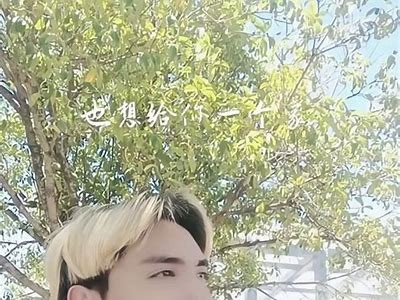 抖阴人：揭秘短视频背后的创作与网红经济
