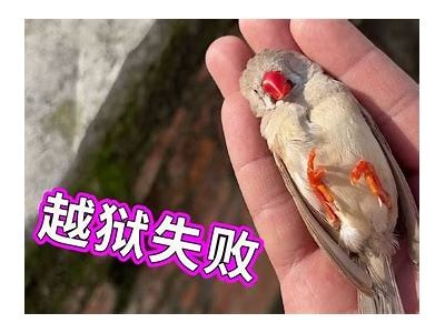 听说小视频阴可以引发奇妙变化，你也来试试吧！