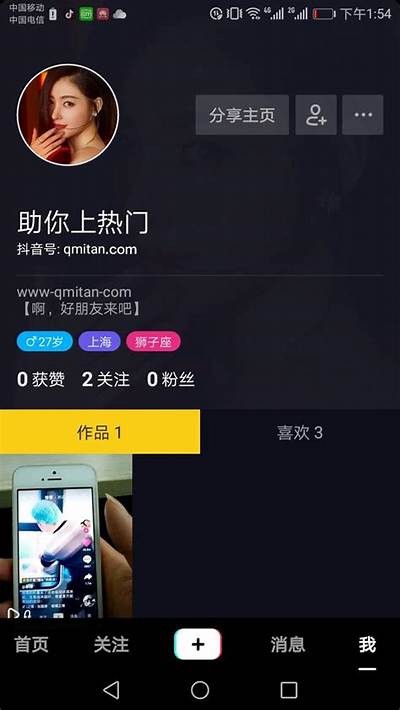 抖音使用技巧与热门内容解析，助你轻松上手赚收益