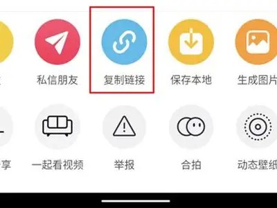 抖音破解版app下载：轻松获取无限乐趣与隐私保护！