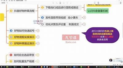 如何在抖音上快速查找海贼王相关内容的方法
