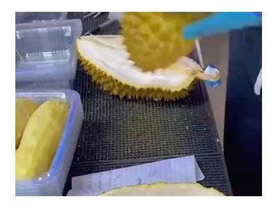 榴莲抖阴：揭秘榴莲的美味与健康益处