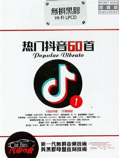 抖音精选内容蓝奏云下载地址大全，快速获取优质资源！