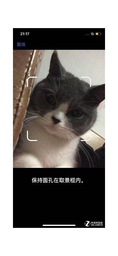 获取快猫抖阴二维码，轻松分享与下载最新内容的方法指南