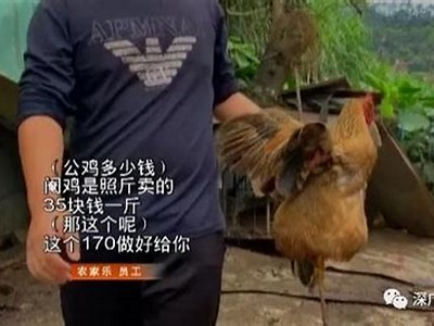 抖阴破解版下载：最新ed2k链接与安装教程分享