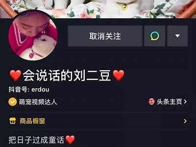 老司机分享抖音短视频技巧，轻松提高视频观看量与点赞量！