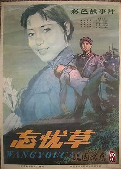 忘忧草抖阴：探寻这款植物背后的神秘力量与健康益处