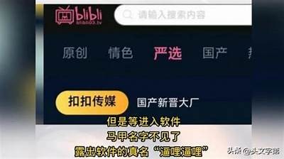 苹果手机版成人抖阴APP推荐：畅享无限乐趣与激情体验