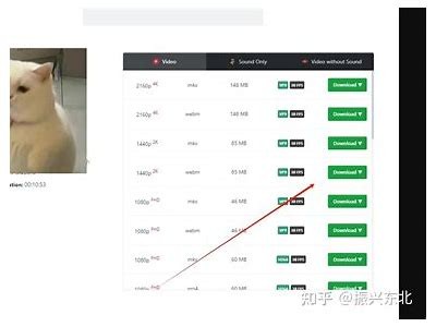如何高效下载抖音视频：详细步骤与技巧分享