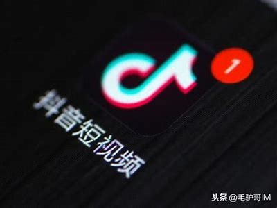 最新海量抖音视频在线汇总，尽享精彩短视频乐趣！