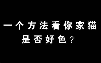 快猫与抖阴：哪个更值得下载使用？深度对比检视！