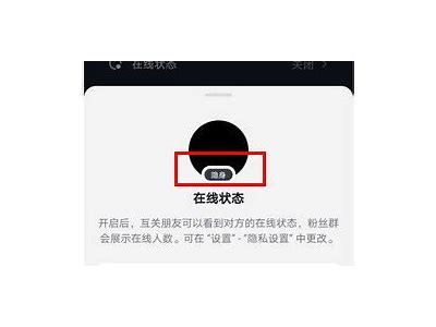 抖音视频隐蔽技巧：教你如何巧妙隐藏内容提升观看量