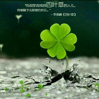 幸运草抖阴视频作品：揭秘幸运的神秘魅力与精彩瞬间