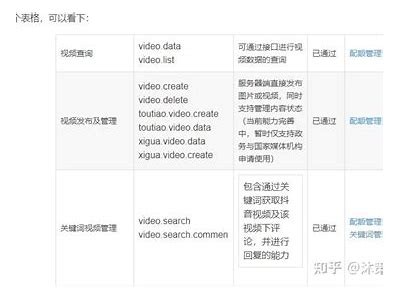 抖音热门JS视频解析与使用技巧大揭秘，轻松提升你的创作水平！