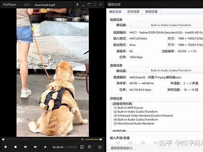 抖音视频下载器：轻松获取高清抖音短视频的最佳网址分享