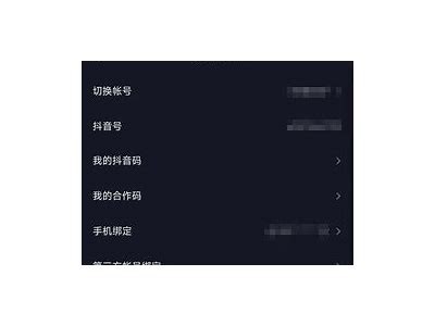 抖音Magnet：如何有效吸引用户关注并提升内容曝光率